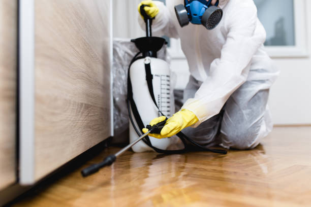 Best Pest Removal Services  in Baltic, SD