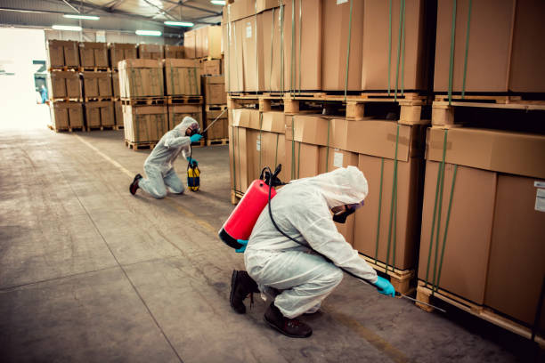 Best Best Pest Control Companies  in Baltic, SD