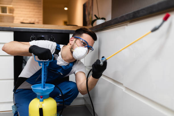 Best Affordable Pest Control Services  in Baltic, SD