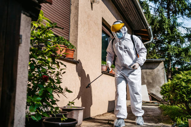 Best Cockroach Control Services  in Baltic, SD