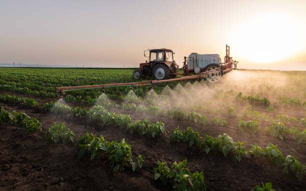 Professional Pest Control in Baltic, SD