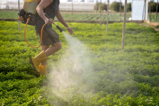 Best Best Pest Control Companies  in Baltic, SD