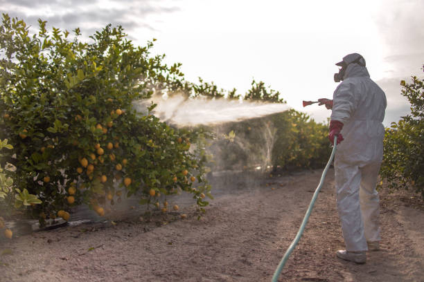 Best Residential Pest Control  in Baltic, SD